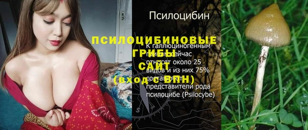 СК Беломорск