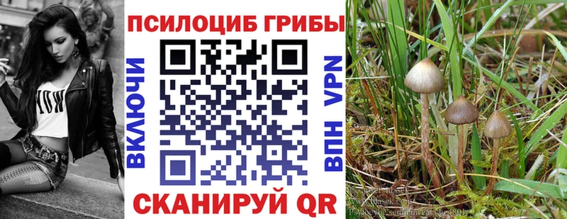 Галлюциногенные грибы Magic Shrooms нарко площадка состав Шлиссельбург купить наркоту